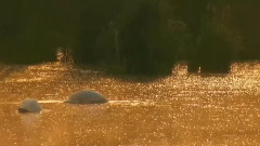 音乐短片_雪见-落入凡尘MV下载_MTV免费观看