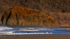 灞桥柳 高清MV_张咪MV_饭制版_一听MV音乐