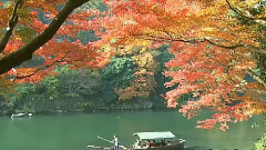 原来的我 - 齐秦MV音乐大全_经典老歌MV观看