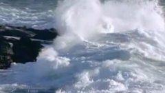 Thalassa