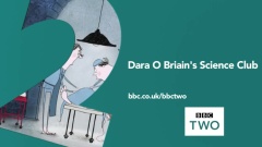 The Story Of The Brain
