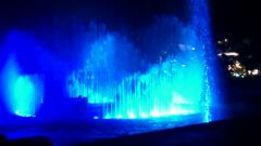 海洋公园视频怎么剪 276661.jpeg