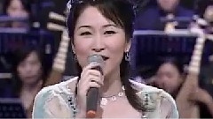 快车小姐