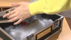 相性診断パピコ 北原里英 回答ムービー