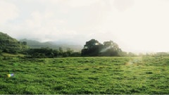 Maui