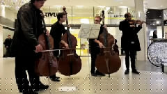 Flashmob of the Verbier