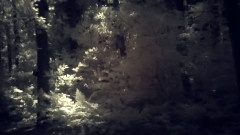 An Invisible Light