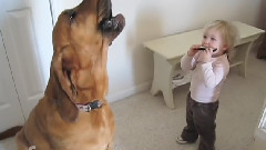 Cute Pet Frienships