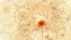 Nico - Donor Song