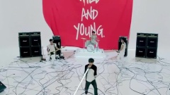 Wild And Young
