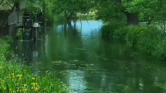 新世纪音乐之女巫医