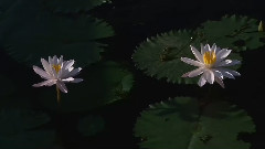 世界最美丽的地方