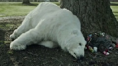 A Homeless Polar Bear In London