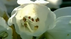 自然风光