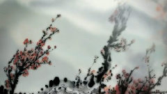 双飞