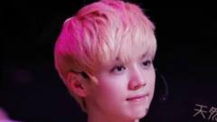 致我最爱的12只