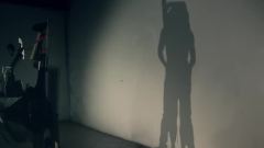 Shadow