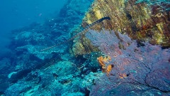 海底世界