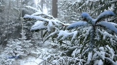 Winter Came