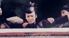 天堂鸟
