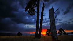 My Land