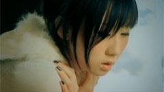 花无雪