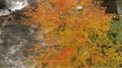 影视原声 - 铁道田园之旅