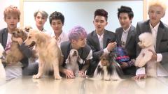 KBS节目 Super Dog 宣传视频