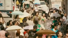 影视原声 - <正青春>插曲