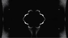 Narcissus