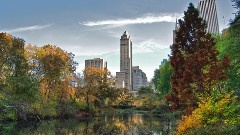 New York City