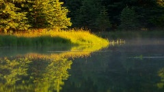 Parc Beaver Grand Teton