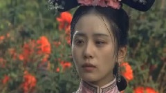 电视剧