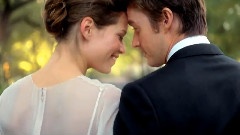 A Love So Beautiful