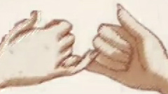 花鸟风月