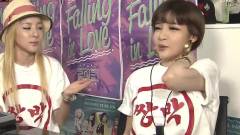 SBS 深夜TV演艺