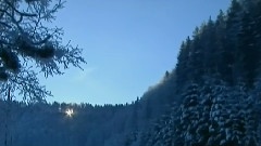 驼铃