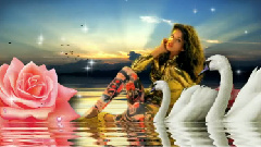 Xxxo