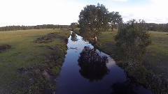 Несколько