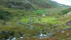 梦中的鸟