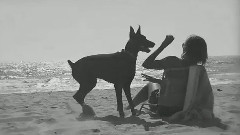 The Great Dig