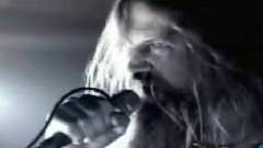 Cry Of The Black Birds