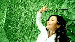 美丽嘉年华