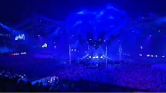 Sensation White