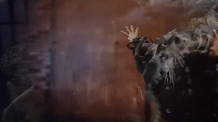 Dancing With Mephisto