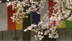 再会