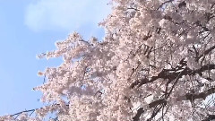 一滴