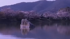 归乡
