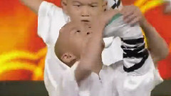 大号是中华