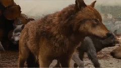 影视原声 - Danuivusi